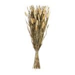 BOUQUET SÉCHÉ - NATUREL – Image 2