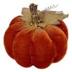CITROUILLE - VELOURS – Image 2