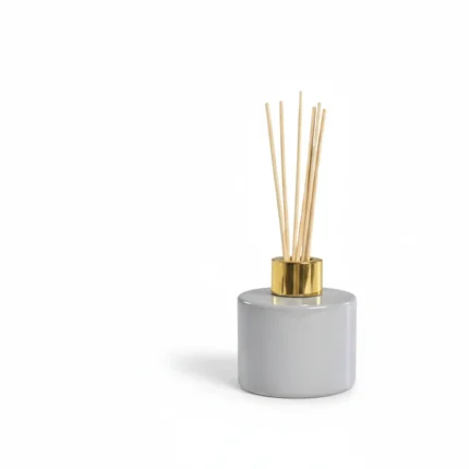 DIFFUSEUR 6 TIGES 100ML