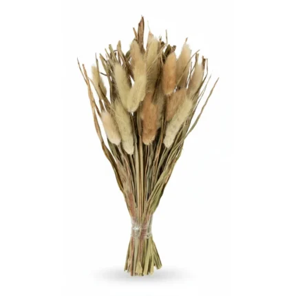 BOUQUET HERBES SÉCHÉES – COLORIS NATUREL