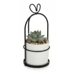 PLANTE CERCLAGE ARTFICIELLE - NOIR ET BLANC