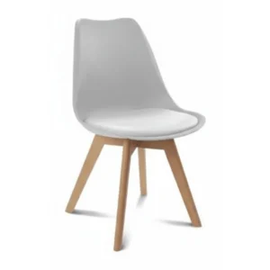 ai product image 155096 1768393386 Home