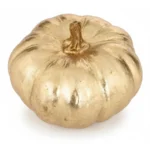 CITROUILLE - OR