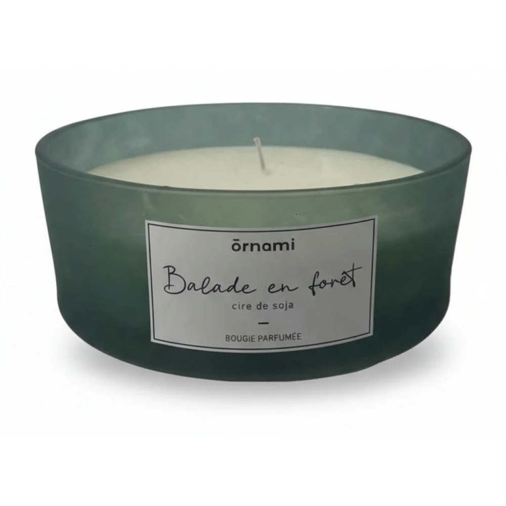 ai-product-image-168116-1771735888 BOUGIE BALADE FORÊT - 380 GRAMMES – Image 1