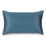 COUSSIN 50 X 30 CM - 100 POLYESTER - BLEU