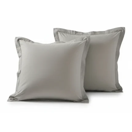 TAIES D'OREILLER 63 X 63 - 100% COTON EN LOT DE 2 - DUNE