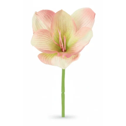 TIGE AMARYLLIS 43 CM - ROSE
