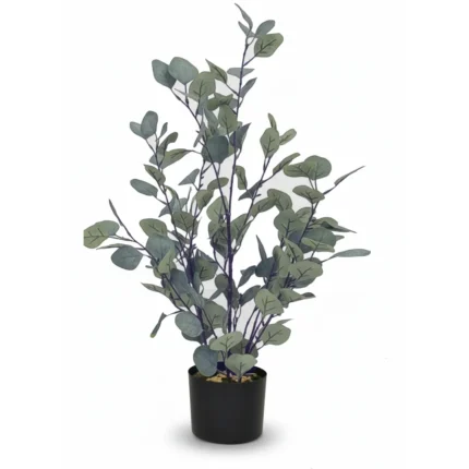 EUCALYPTUS POT CYLINDRIQUE 76 CM