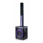 ENCEINTE SONO PORTABLE PA8JH 300 W BLUETOOTH - REXTON