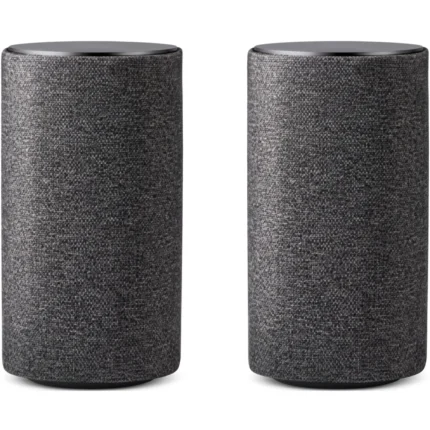 ENCEINTE GRAPHITE - LOEWE