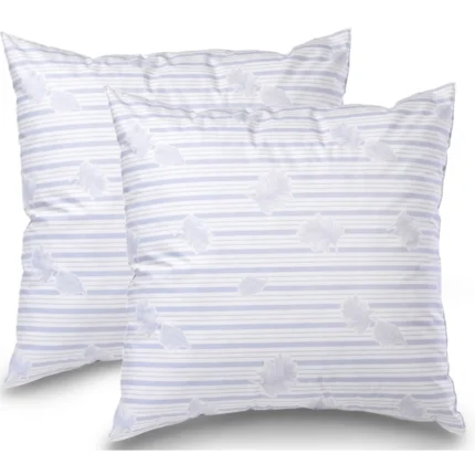 LOT DE 2 OREILLER 60 X 60 CM EN PLUME