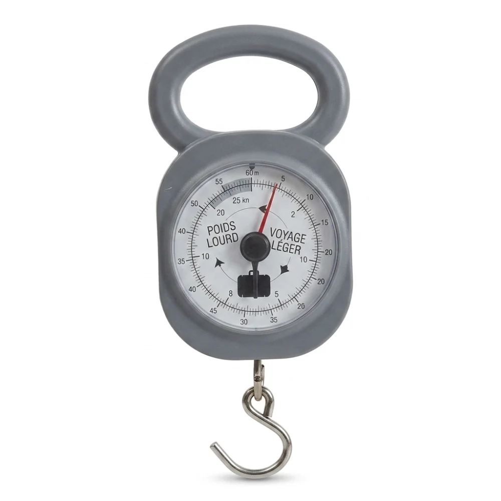 AI Generated Product Image PÈSE-BAGAGE – Image 1