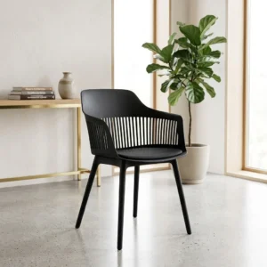 ai product image 205609 1782097376 Home