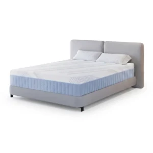 ai product image 206321 1782384735 Home