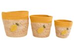 PANIER CITRON TAILLE L – Image 2
