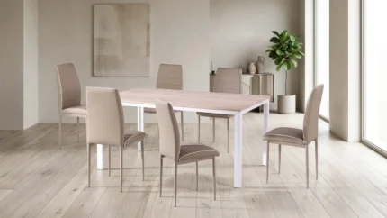 TABLE + 6 CHAISES - BEIGE
