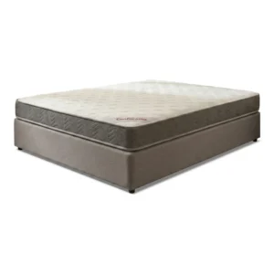 ai product image 210356 1784288690 Home