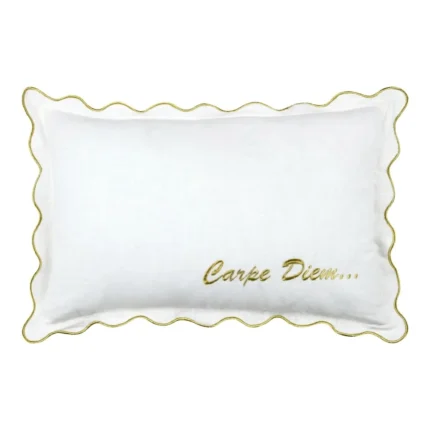 COUSSIN 40X60 CM EN COTON - ÉCRU