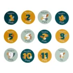 CARTES ÉTAPES DU MOIS BÉBÉ EN CARTON