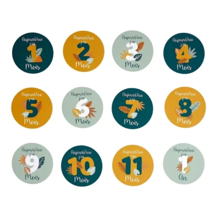 CARTES ÉTAPES DU MOIS BÉBÉ EN CARTON