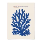AFFICHE CORAIL 30X40 CM