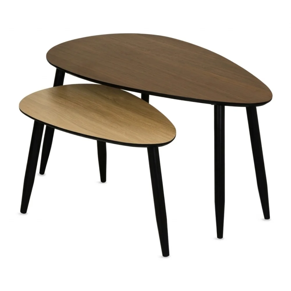 AI Generated Product Image LOT DE 2 TABLES BASSES – Image 1