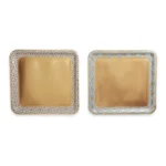 LOT DE 6 PLATEAUX JETABLES 31X33 CM