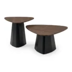 LOT DE 2 TABLES BASSES GIGOGNES FORME ORGANIQUE - NOIR