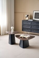 LOT DE 2 TABLES BASSES GIGOGNES FORME ORGANIQUE - NOIR – Image 2