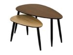 LOT DE 2 TABLES BASSES – Image 2
